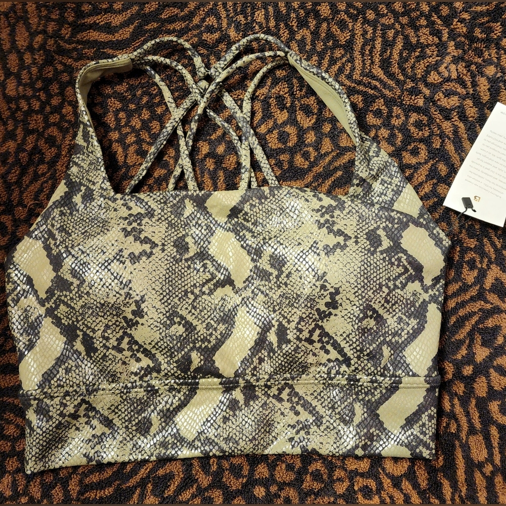 Buffbunny Revolution Sports Bra. NWT